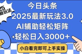 （14020期）今日头条2025最新玩法3.0，思路简单，复制粘贴，轻松实现矩阵日入3000 