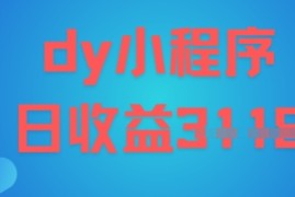 DY小程序玩法，日入多张，小白可做，操作简单