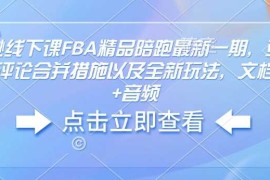 亚马逊线下课FBA精品陪跑最新一期，亚马逊严抓评论合并措施以及全新玩法，文档资料 音频