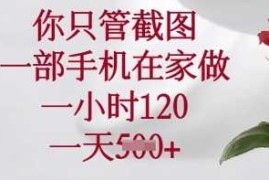 你只管截图，一部手机在家做，一小时120.一天5张【揭秘】