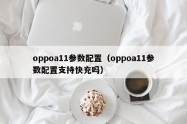 oppoa11参数配置（oppoa11参数配置支持快充吗）
