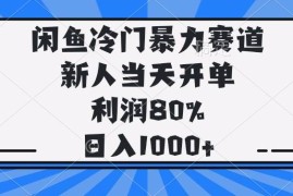 （14229期）闲鱼冷门暴力赛道，新人当天开单，利润80%，日入1000 