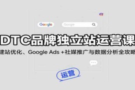 DTC品牌独立站运营课：建站优化、Google Ads   社媒推广与数据分析全攻略
