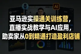 亚马逊实操通关训练营，直播实战教学与AI应用，助卖家从0到精通打造盈利店铺(更新1016)