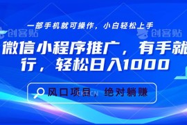（13709期）微信小程序推广，有手就行，轻松日入1000 