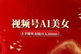 （11693期）视频号AI美女，上手简单，轻松月入30000 
