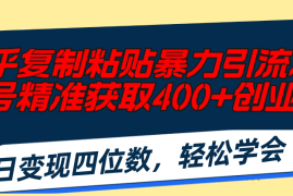 （11674期）知乎复制粘贴暴力引流术，单号精准获取400 创业粉，日变现四位数，轻松…