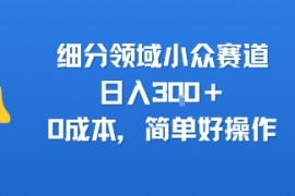 细分领域小众赛道，日入3张 ，0成本，简单好操作