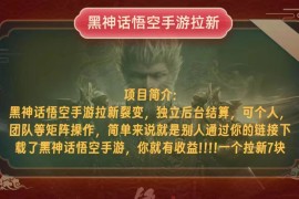 （12949期）黑神话悟空小白简单无脑操作拉新单天收益一千 