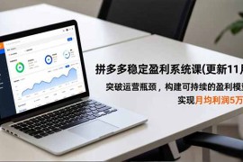 拼多多稳定盈利系统课(更新11月