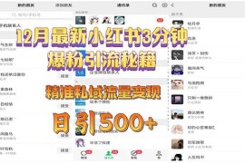 （13653期）12月最新小红书3分钟爆粉引流秘籍 精准私域流量变现 日引500 