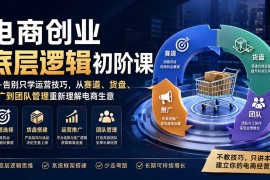电商创业底层逻辑初阶课——告别只学运营技巧，从赛道、货盘、推广到团队管理重新理解电商生意
