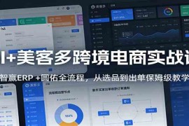 AI 美客多跨境电商实战课：智赢ERP  圆佑全流程，从选品到出单保姆级教学