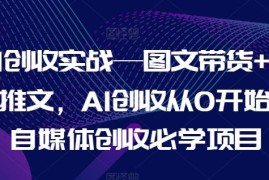 AI创收实战—图文带货 小说推文，AI创收从0开始，自媒体创收必学项目