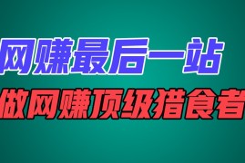 网创最后一站，卖项目，做网创顶级猎食者