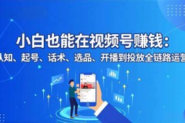 小白也能在视频号赚钱：认知、起号、话术、选品、开播到投放全链路运营