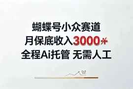 视频号小众领域，月收入3000 ， 全程Ai托管操作 新人2天学会！