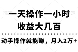 （11263期）一天操作一小时，收益大几百，动手操作就能赚，月入2万 教学