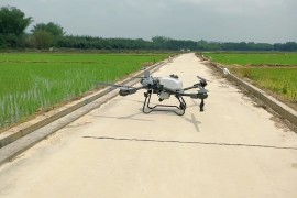 酷派t60(酷派T66说明书)