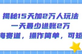 揭秘15天加2W人玩法，一天最少2万进账，蓝海赛道，操作简单，可矩阵