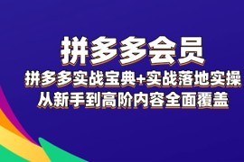 （12056期）拼多多 会员，拼多多实战宝典 实战落地实操，从新手到高阶内容全面覆盖