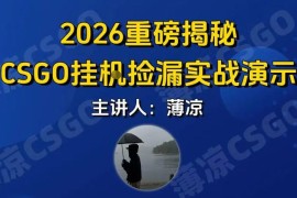 CSGO游戏挂G游戏搬砖最新升级，普通小白一部手机可日入3张 当天见结果，支持验证【揭秘】