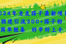 （11259期）2024年交友搭子最新项目，极速引流300 搭子粉，简单粗暴，好学好上手