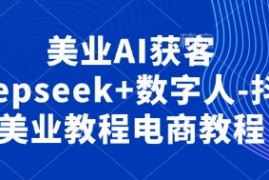 美业AI获客Deepseek 数字人-抖音美业教程电商教程