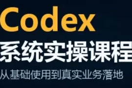 codex系统实操课程(更新10月)