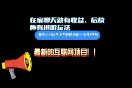 在家聊聊天就有收益，每天200 ，简单无脑