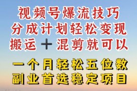 视频号爆流技巧，分成计划轻松变现，搬运  混剪就可以，一个月轻松五位数稳定项目【揭秘】