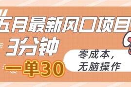五月最新风口项目，3分钟一单30，无脑操作，零成本