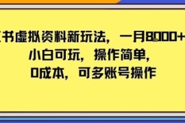 小红书虚拟资料新玩法，一月8k 小白可玩，操作简单