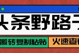 头条野路子玩法之相亲赛道，无脑搬砖复制粘贴，单账号日稳定300 保姆级教程