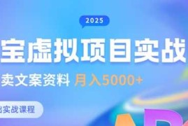 淘宝虚拟项目垂直玩法，新手卖文案资料，月入5k 
