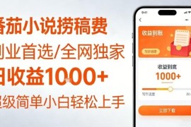 全网独家！番茄小说捞稿费，日收益1k ，副业必看，小白易上手，超级简单【揭秘】