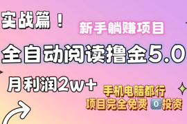 （11578期）小说全自动阅读撸金5.0 操作简单 可批量操作 零门槛！小白无脑上手月入2w 