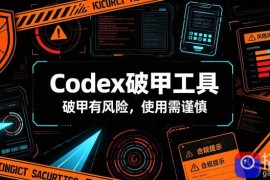 Codex破甲工具，破甲有风险，使用需谨慎