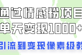 关于情感粉变现项目，我是怎么做到单天赚1000 的？从引流到变现像素级教程