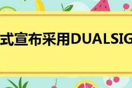 诺基亚207(诺基亚2070a)