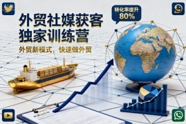 外贸社媒获客独家训练营，外贸新模式，快速做外贸(更新26年2月)