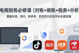 电商财务必修课(对账 做账 税务 分析
