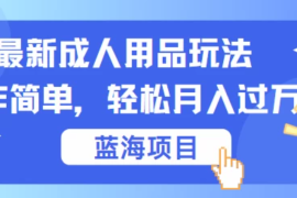 最新成人用品项目玩法，操作简单，蓝海项目轻松月入过万