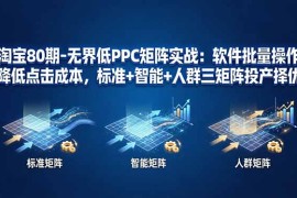 淘宝80期-无界低PPC矩阵实战：软件批量操作降低点击成本，标准 智能 人群三矩阵投产择优