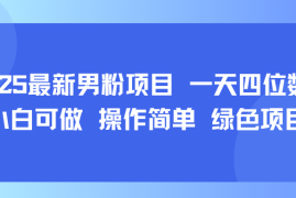 2025最新男粉项目 一天四位数 小白可做 操作简单 绿色项目