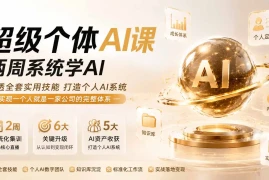 超级个体AI课 两周系统学AI；吃透全套实用技能打造个人AI系统，实现一个人就是一家公司的完整体系(更新0823