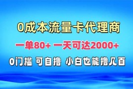 （13391期）免费流量卡代理一单80  一天可达2000 
