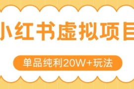 小红书卖虚拟产品，单品纯利20W 玩法分享，4节系列课程