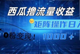 西瓜视频撸流量，简单上手，0粉变现矩阵操作，日入1000 【揭秘】