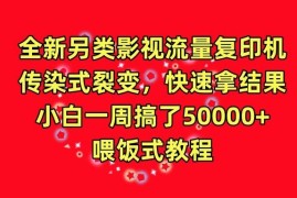 全新另类影视流量复印机，传染式裂变，快速拿结果，小白一周搞了50000 ，喂饭式教程【揭秘】